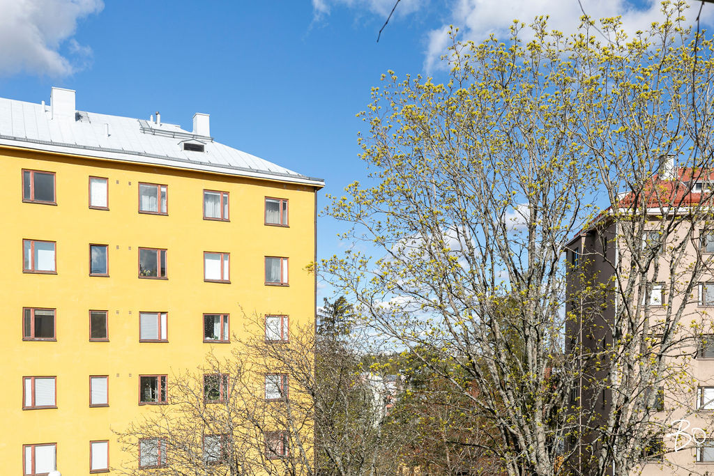 Pihlajatie 41 - kuva 6