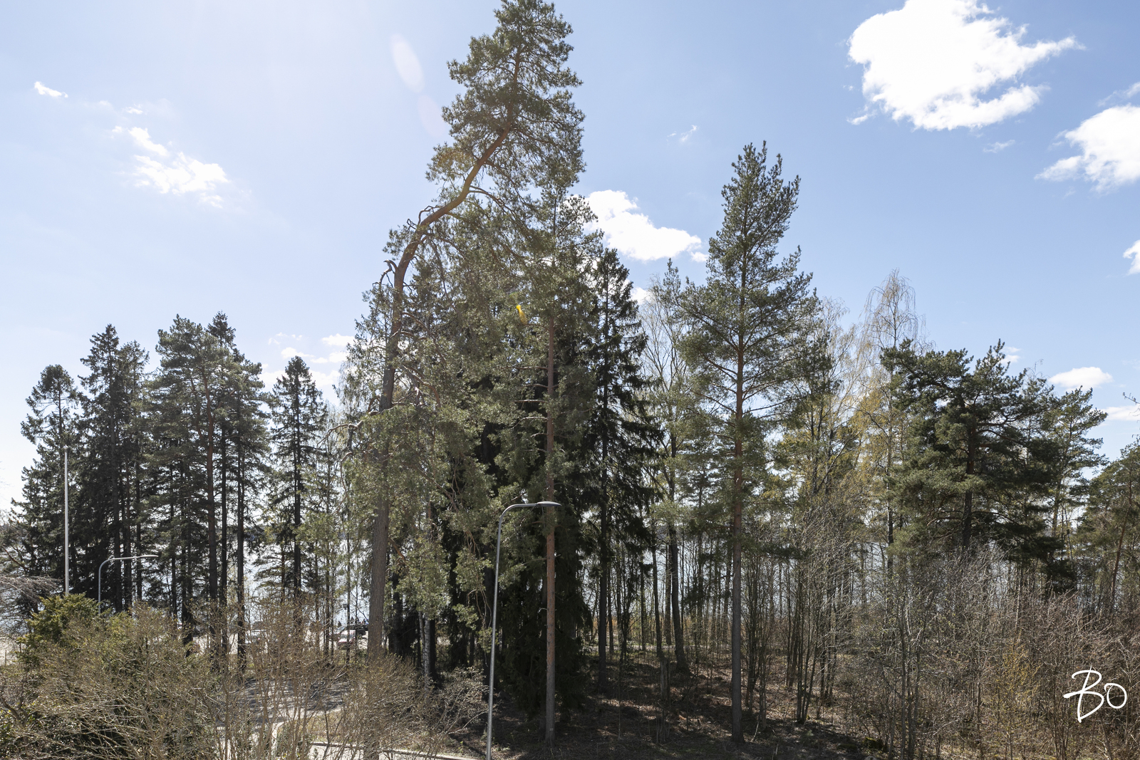 Munkkiniemenranta 47 - kuva 22
