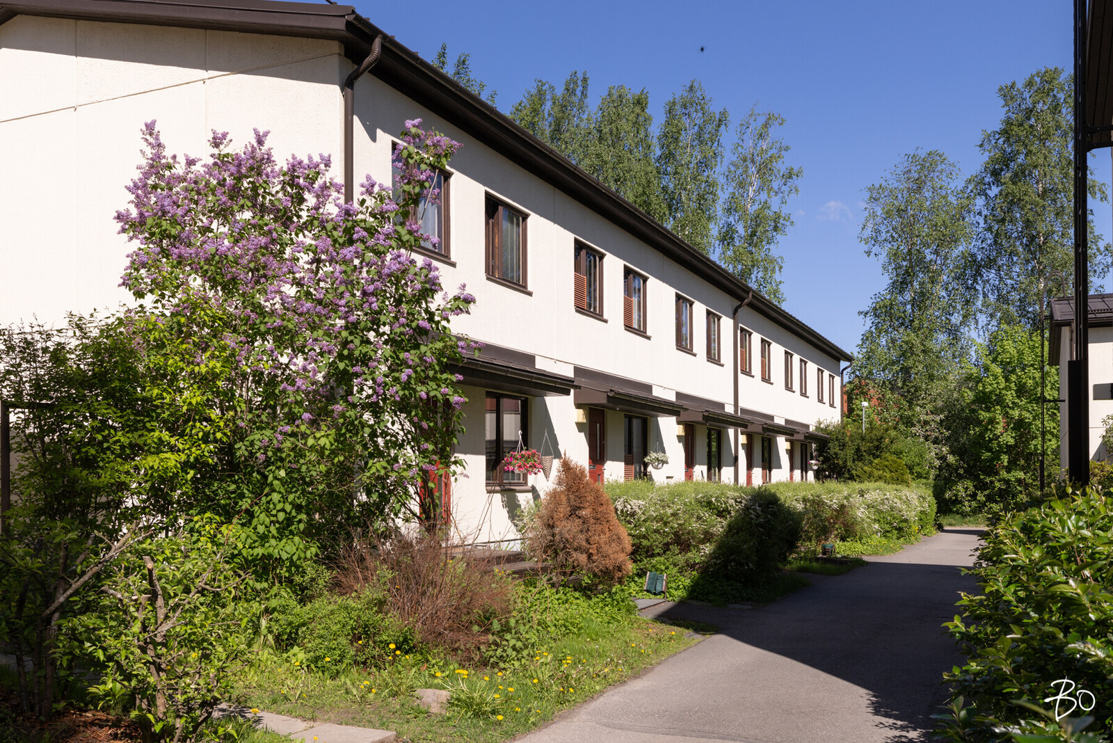 Punnuspolku 8 - kuva 28