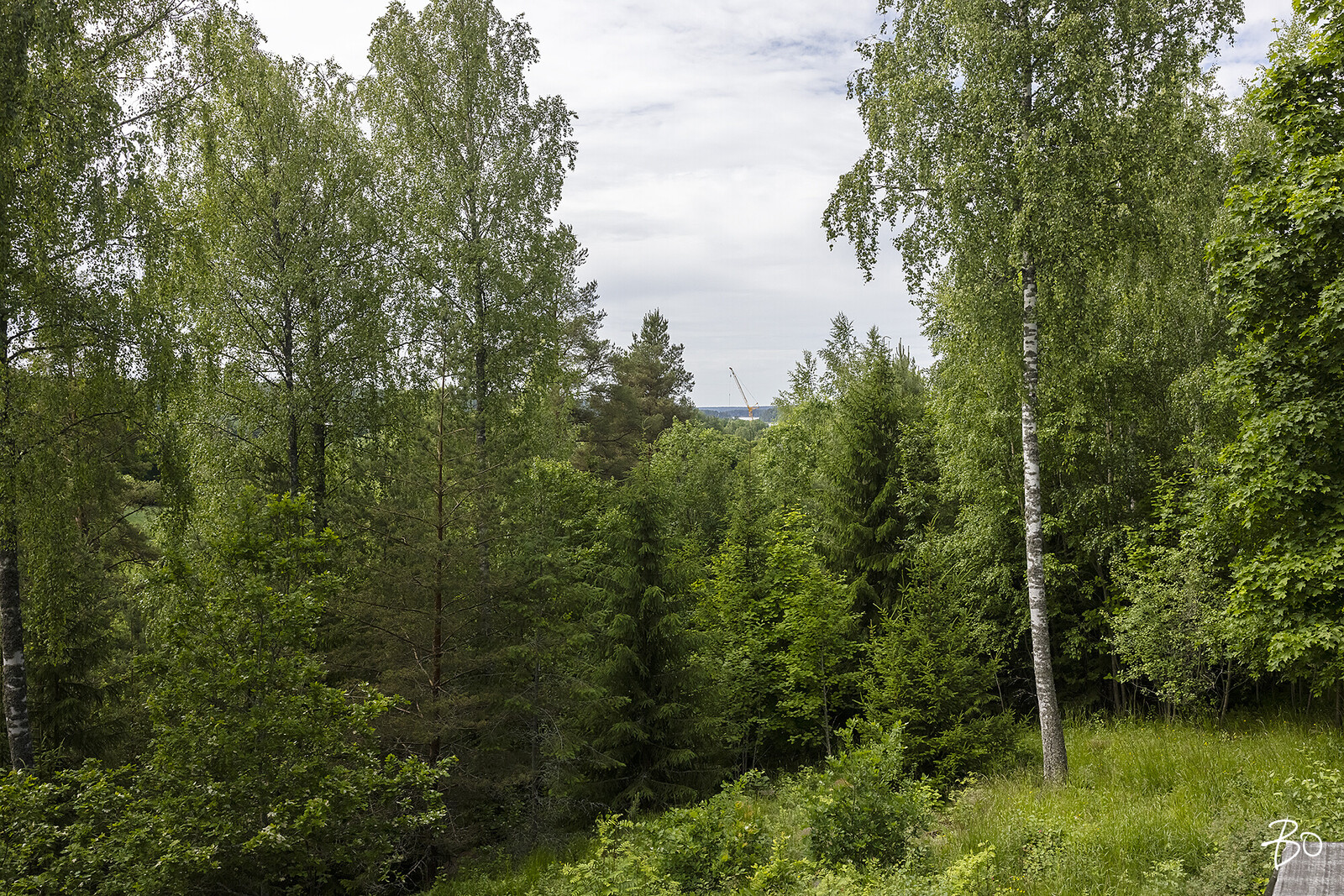 Kartanorinne 6 - kuva 15