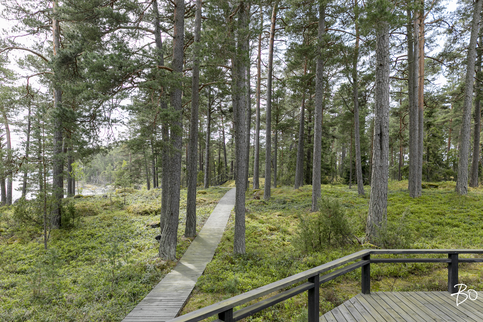Kurö, Orrholmen  - kuva 28