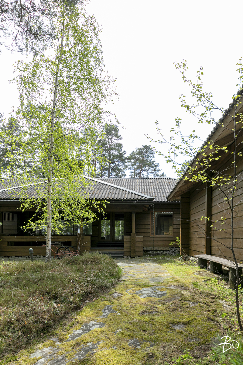 Kurö, Orrholmen  - kuva 34