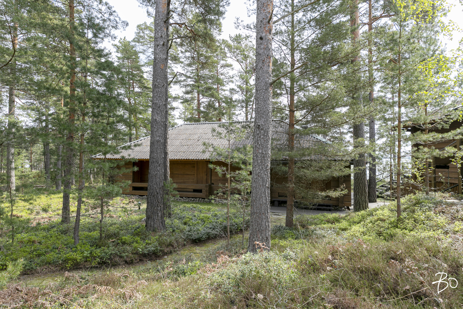 Kurö, Orrholmen  - kuva 36