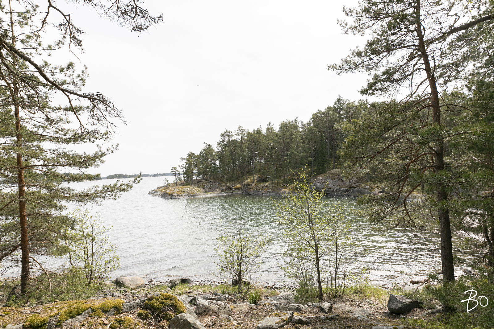 Kurö, Orrholmen  - kuva 42