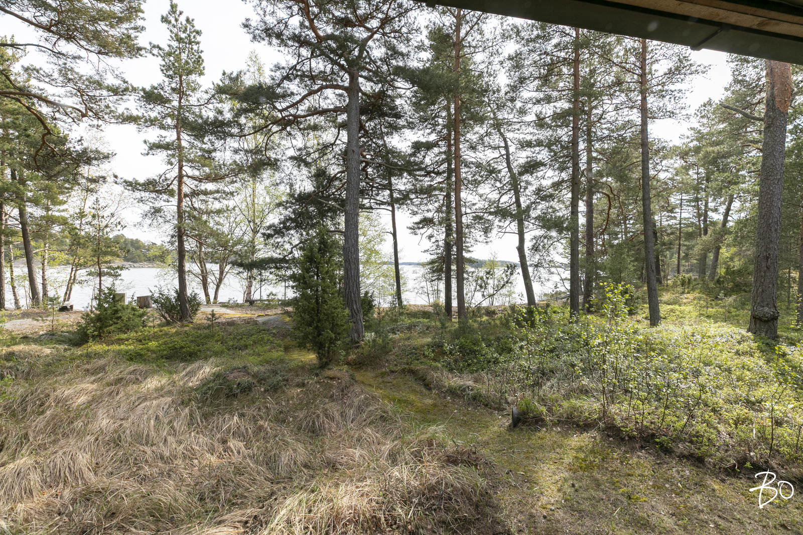 Kurö, Orrholmen  - kuva 41