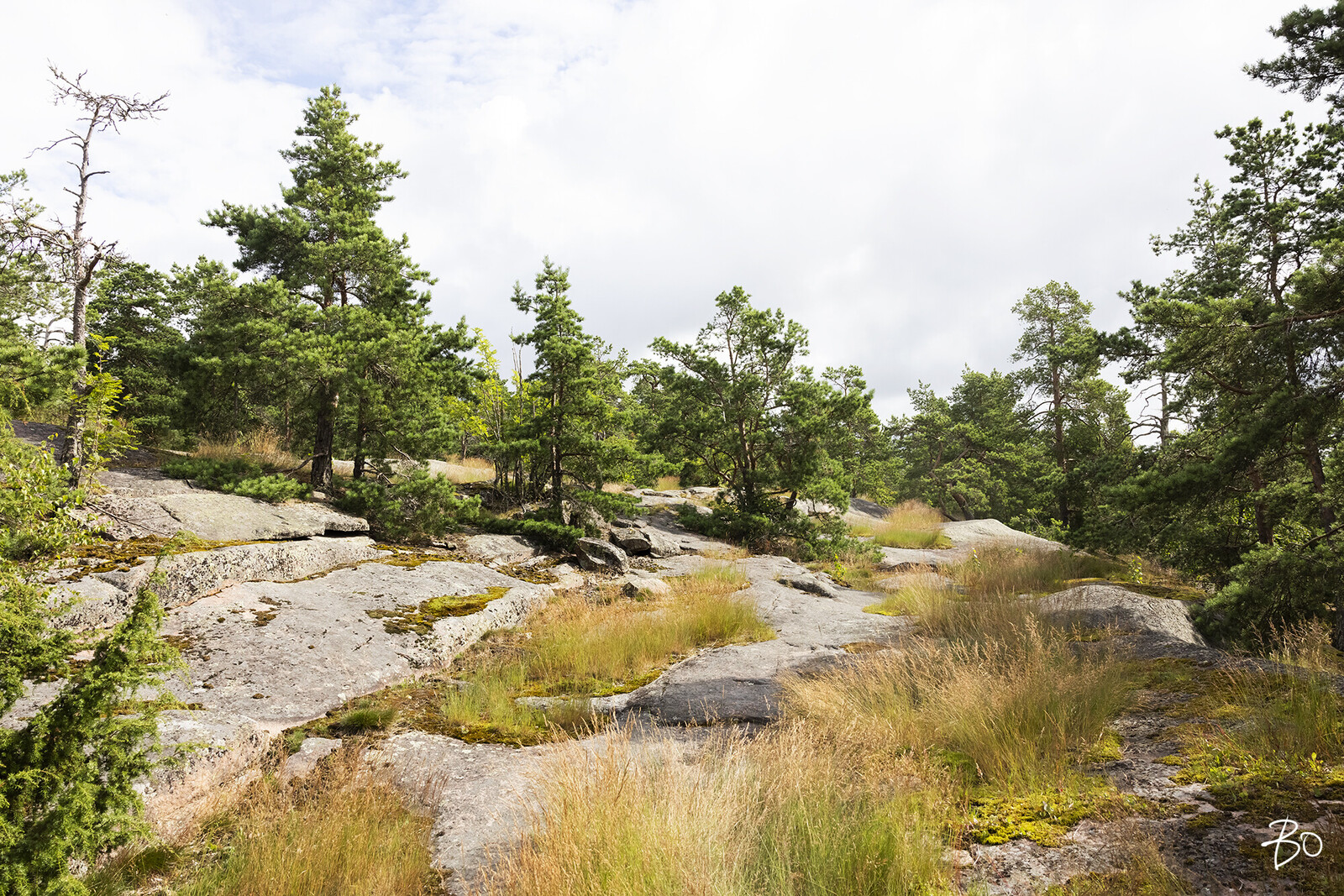 Kalastajanmäki 10 - kuva 27