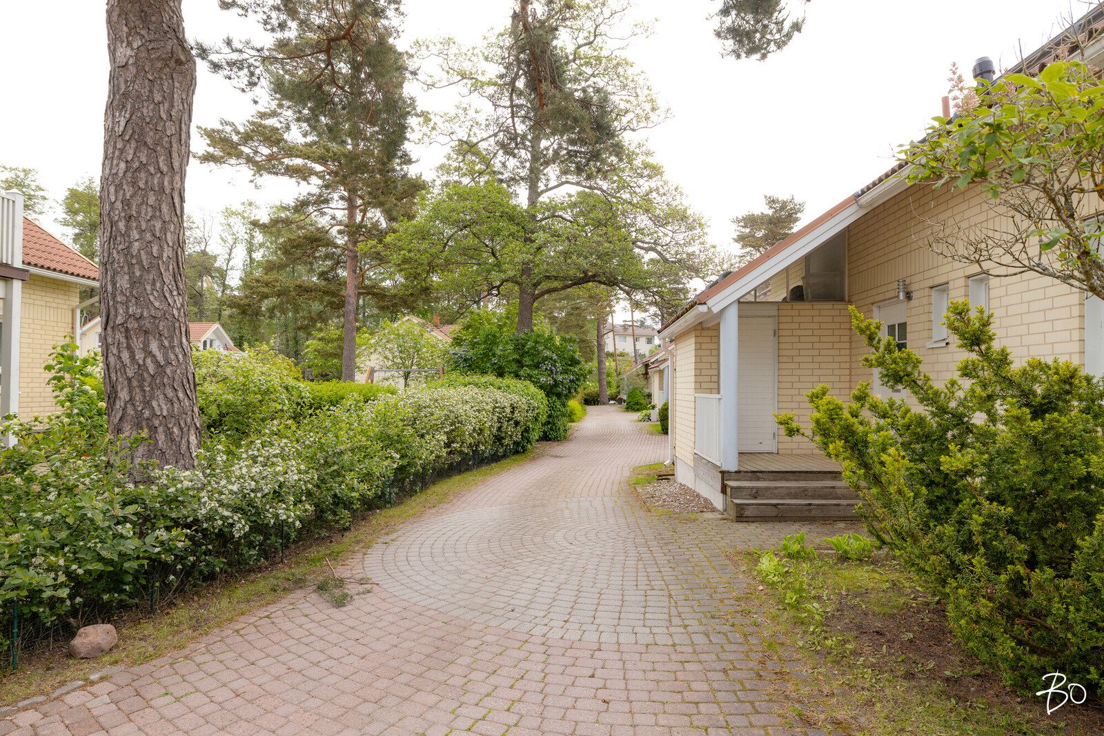 Nuottatie 8 - kuva 34
