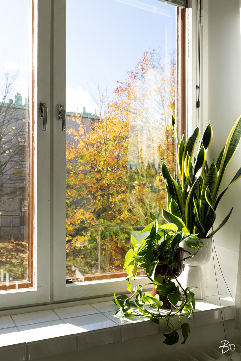 Mäkelänkatu 40 - kuva 14
