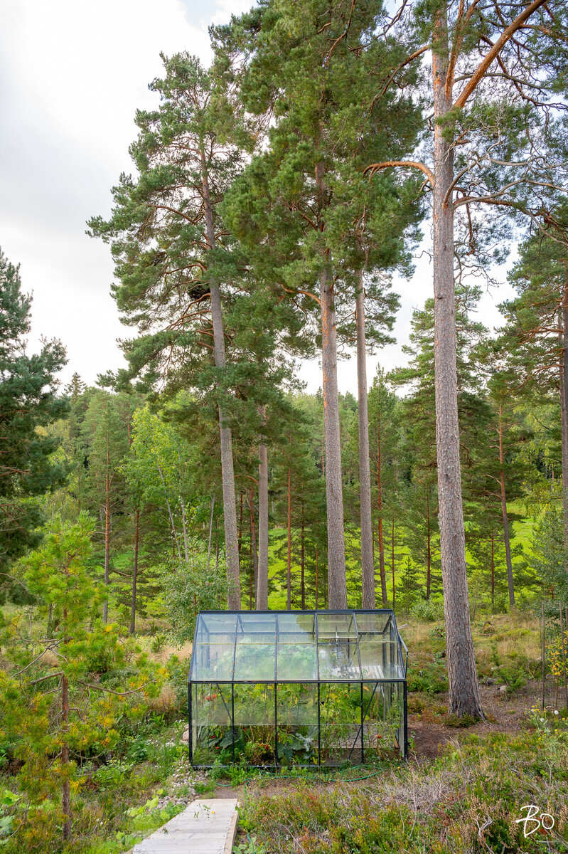 Lounatuuli 16 - image 27