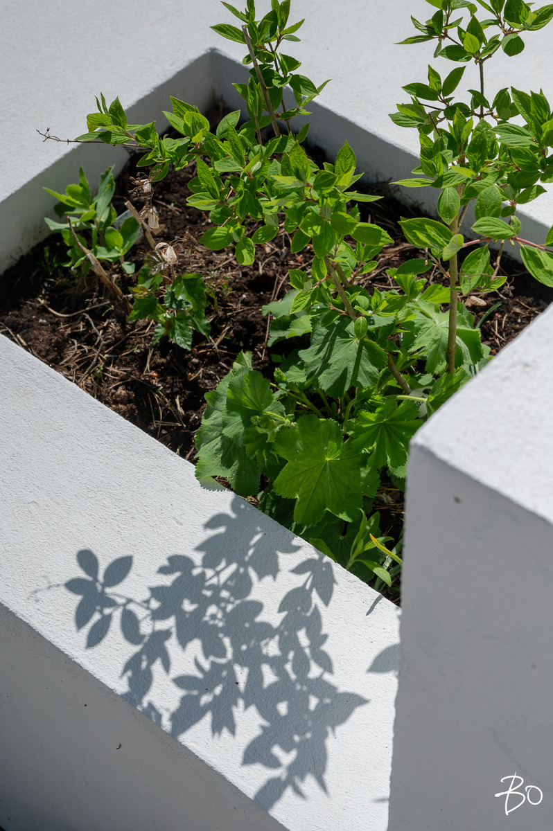 Perkontie 9 - kuva 56