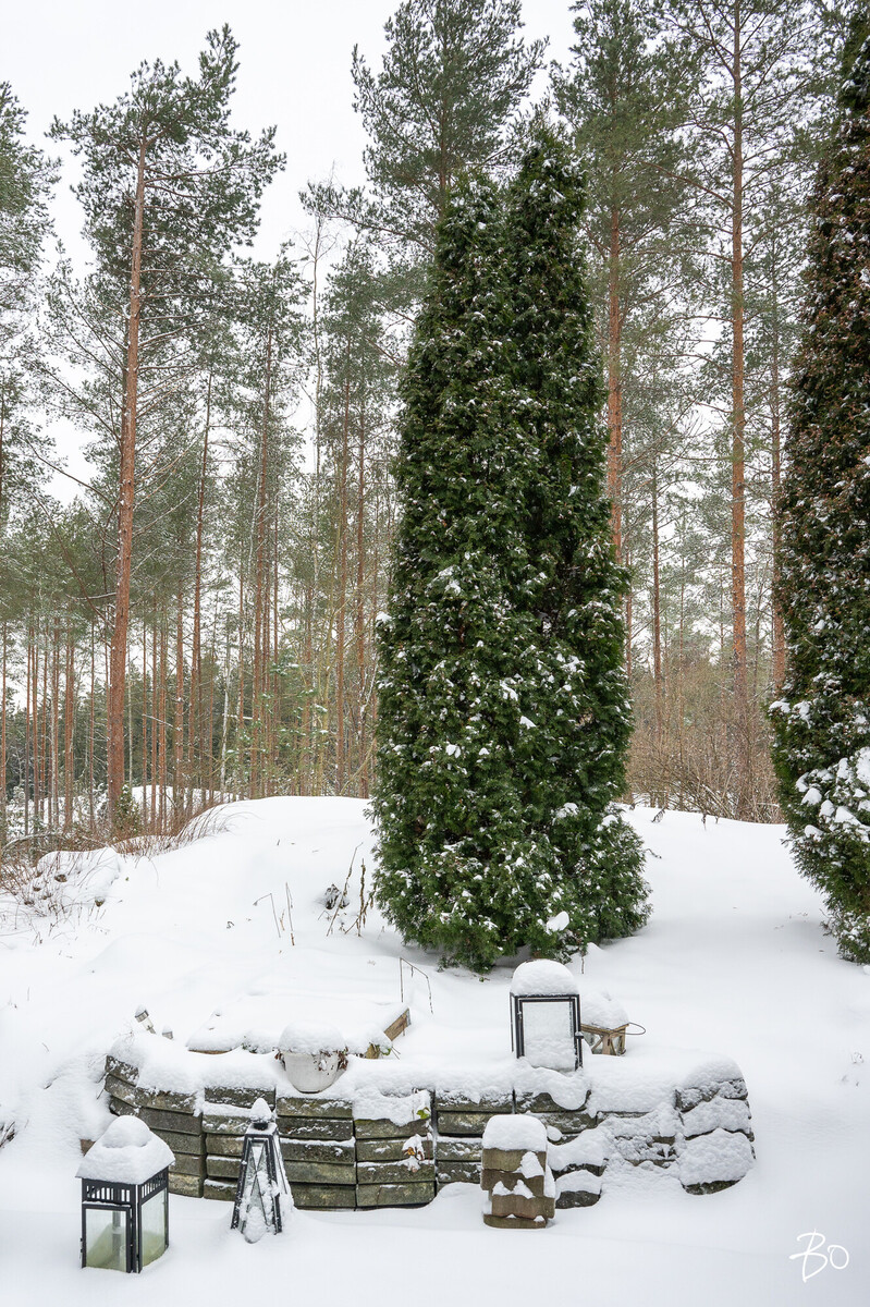 Metsätie 13 - kuva 6