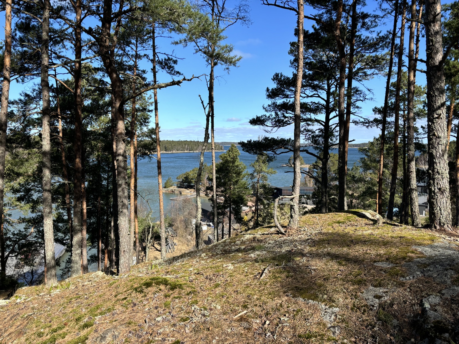 Paavaistentie 480 - image 13