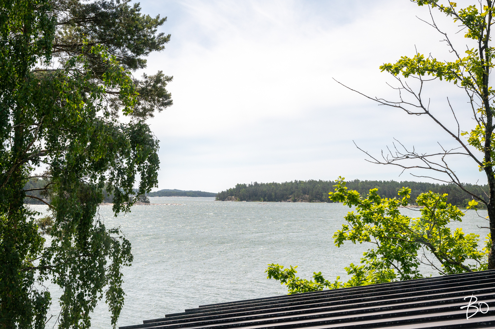 Ruotsalainen  - bild 43