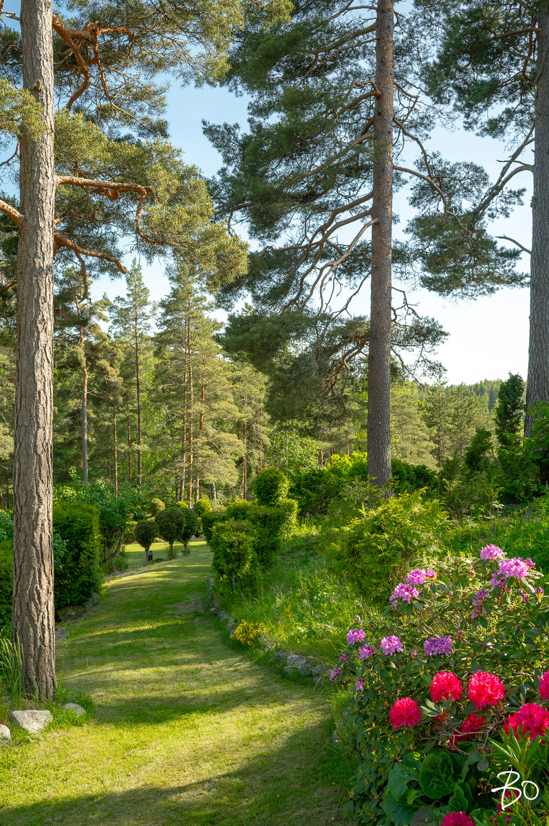 Lustikullantie 1 - image 69