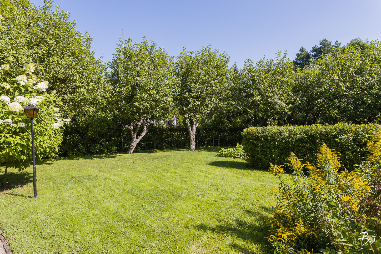 Lehmustie 18 - image 5