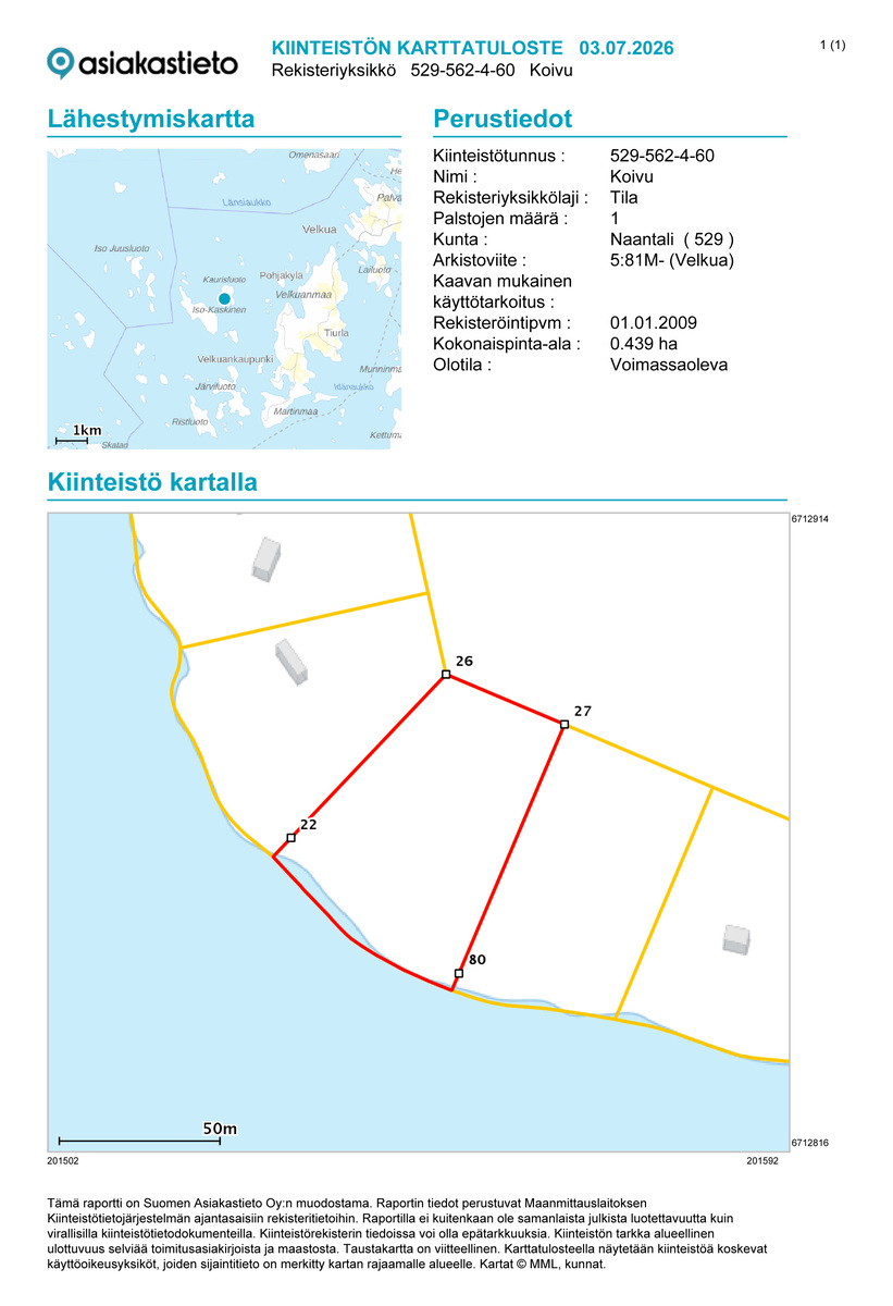 Kaurisluoto  - kuva 16