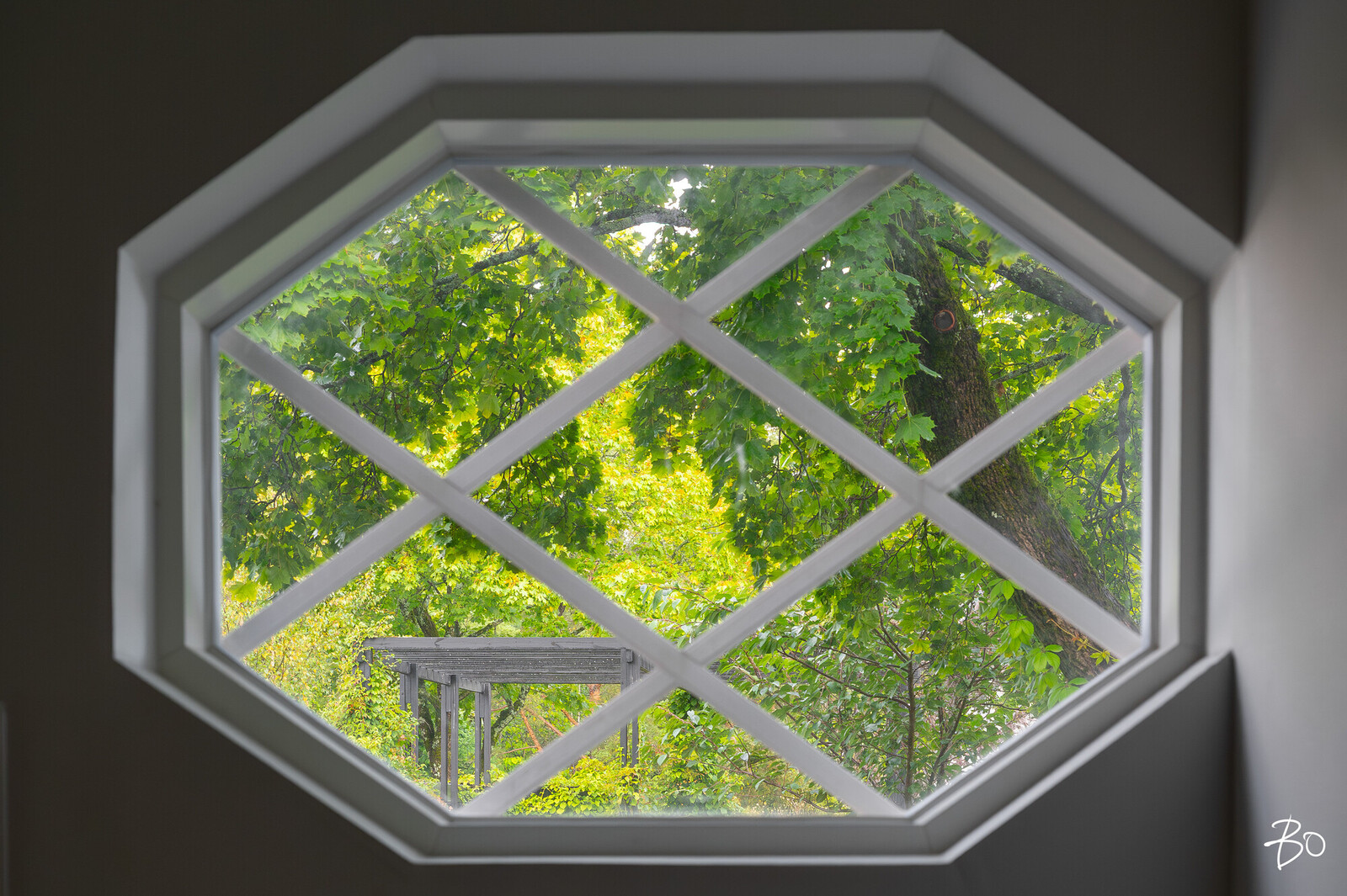 Rauninaukio 4 - kuva 41