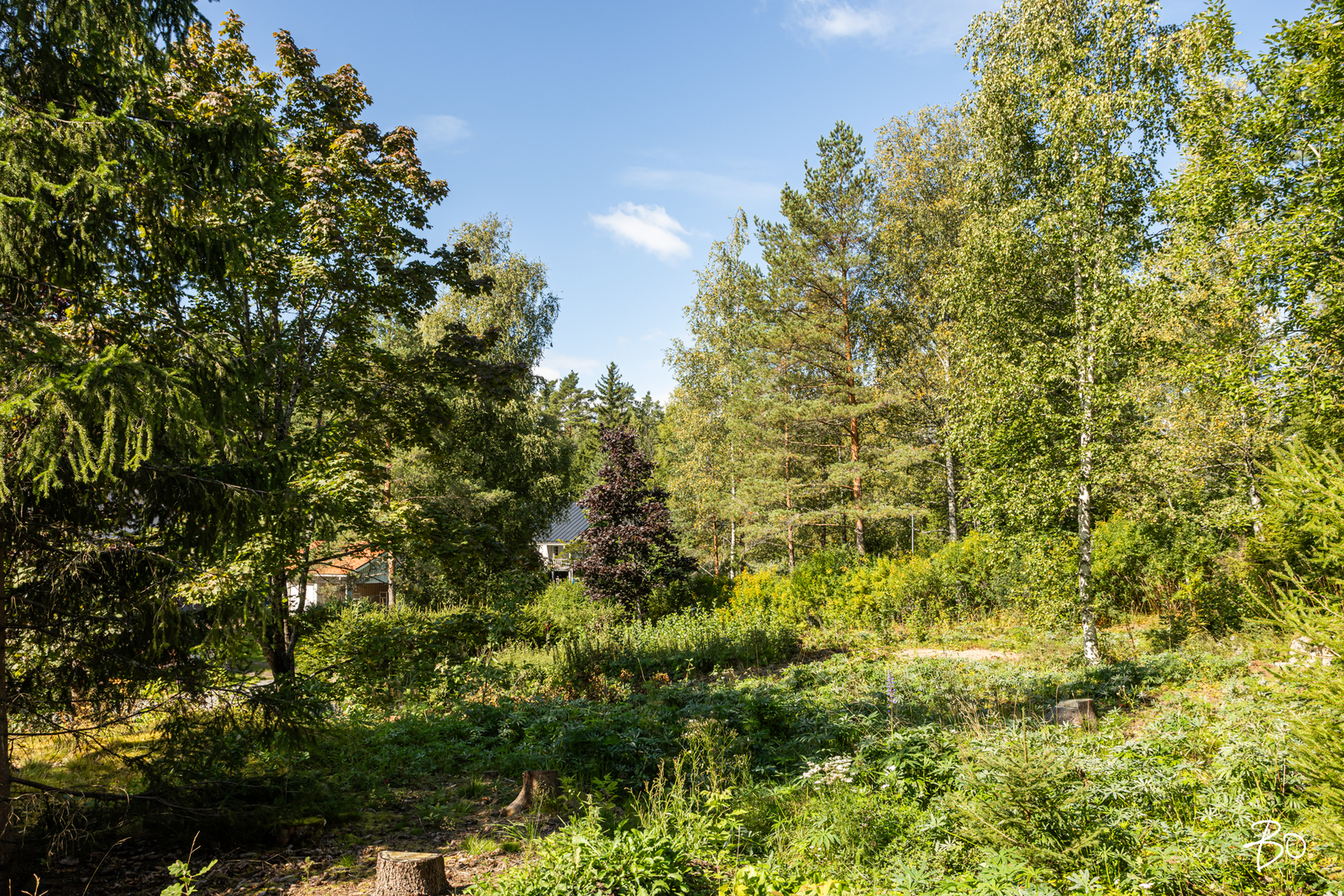 Huopakuja 2  - bild 7