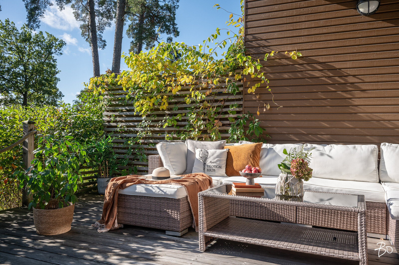 Asessorinpolku 4 - bild 24