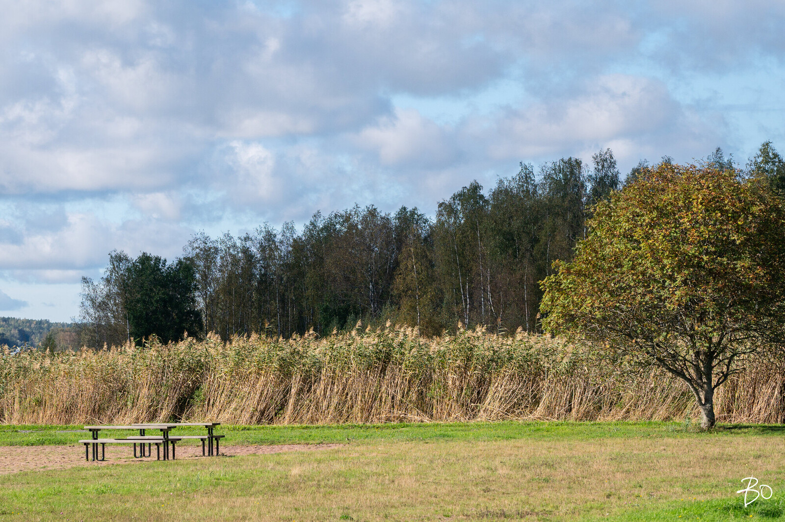 Asessorinpolku 4 - bild 30