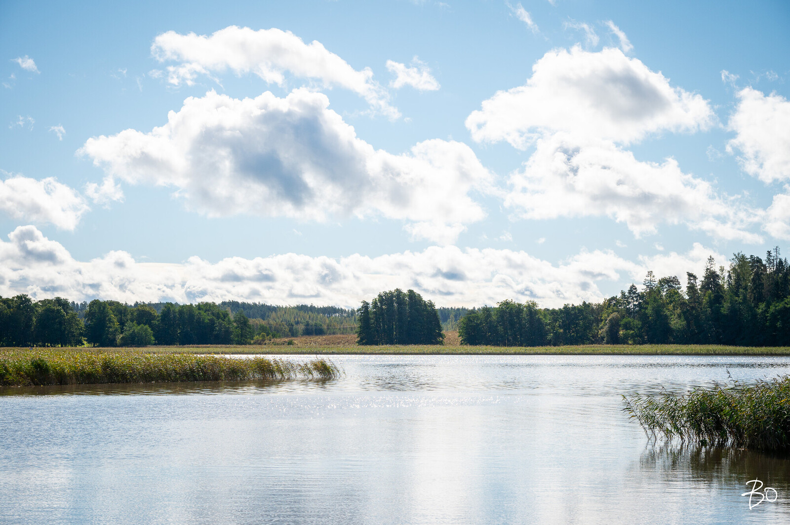 Asessorinpolku 4 - bild 28