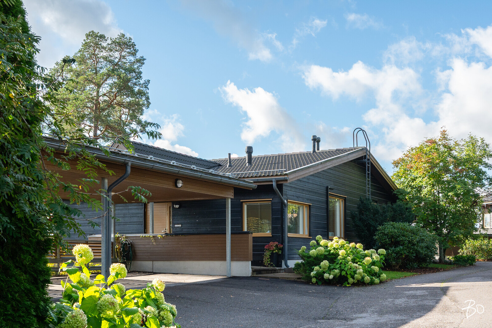 Asessorinpolku 4 - bild 4