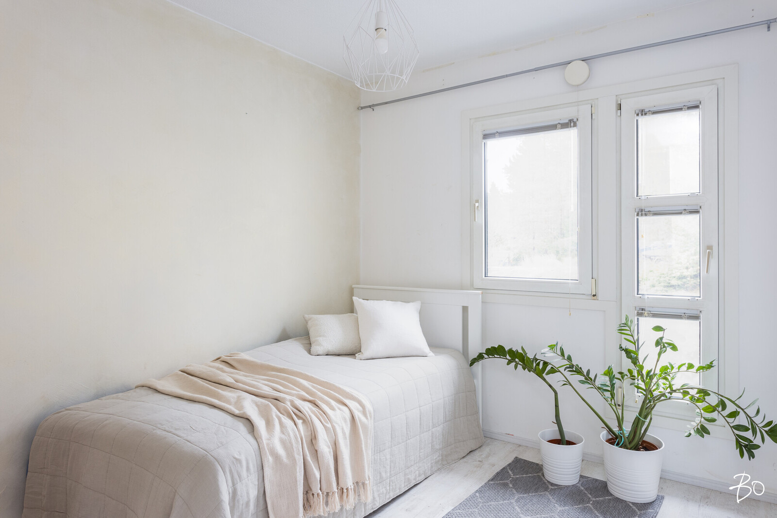 Taimentie 1 - bild 10