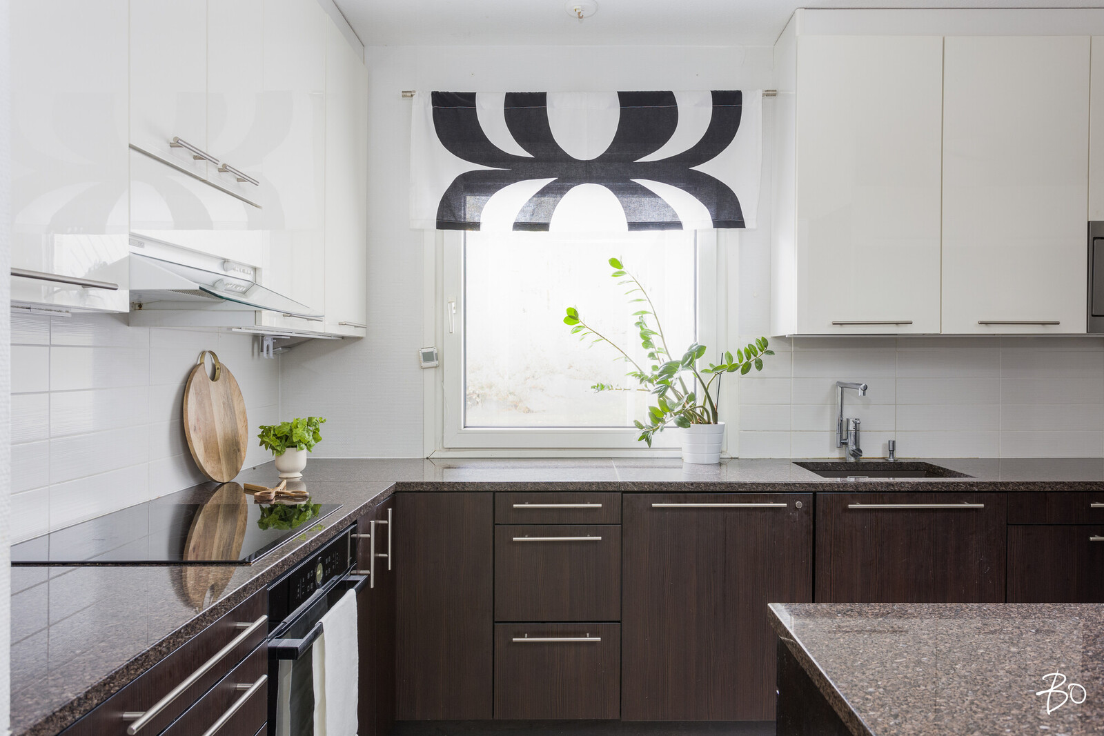 Taimentie 1 - bild 5