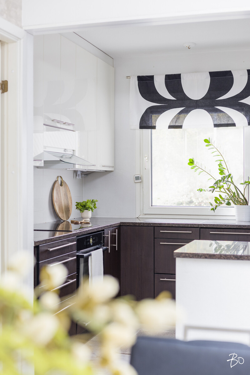 Taimentie 1 - bild 6