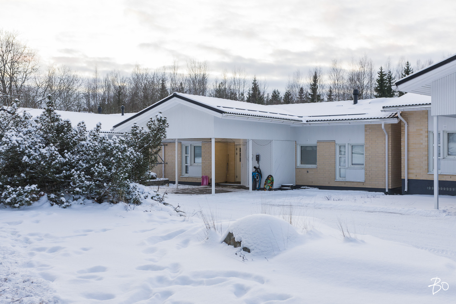 Taimentie 1 - bild 45