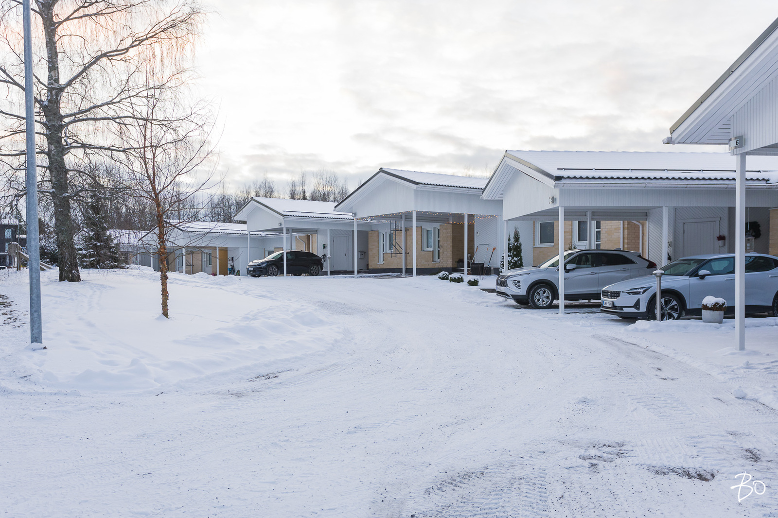 Taimentie 1 - bild 46