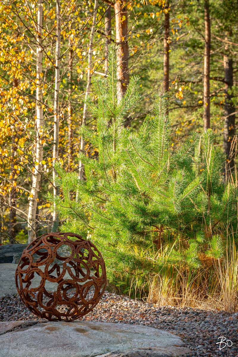 Rannanniemenkuja 9 - kuva 71