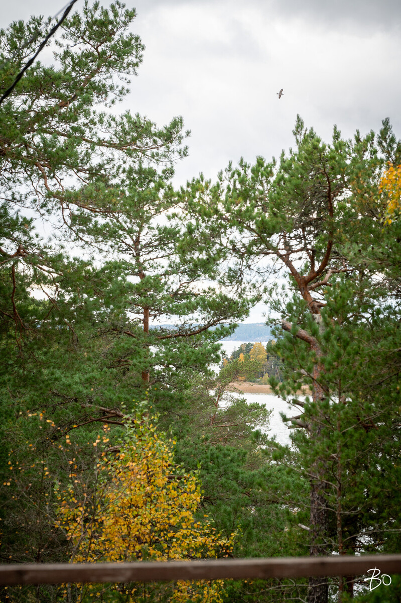 Poikkattenkuja 12 - kuva 33