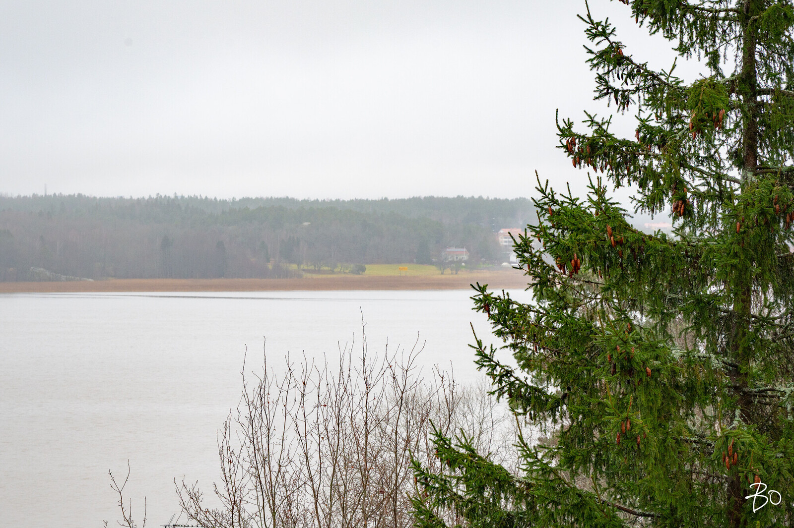 Papinjyrkkä 18 - kuva 36