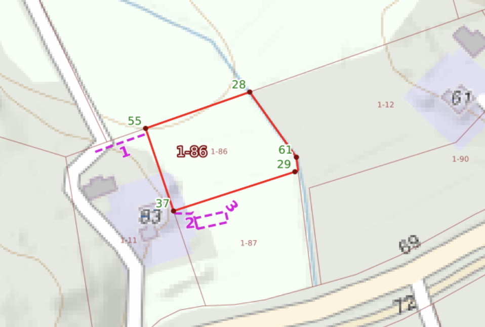 Pikikurjentie  - kuva 2