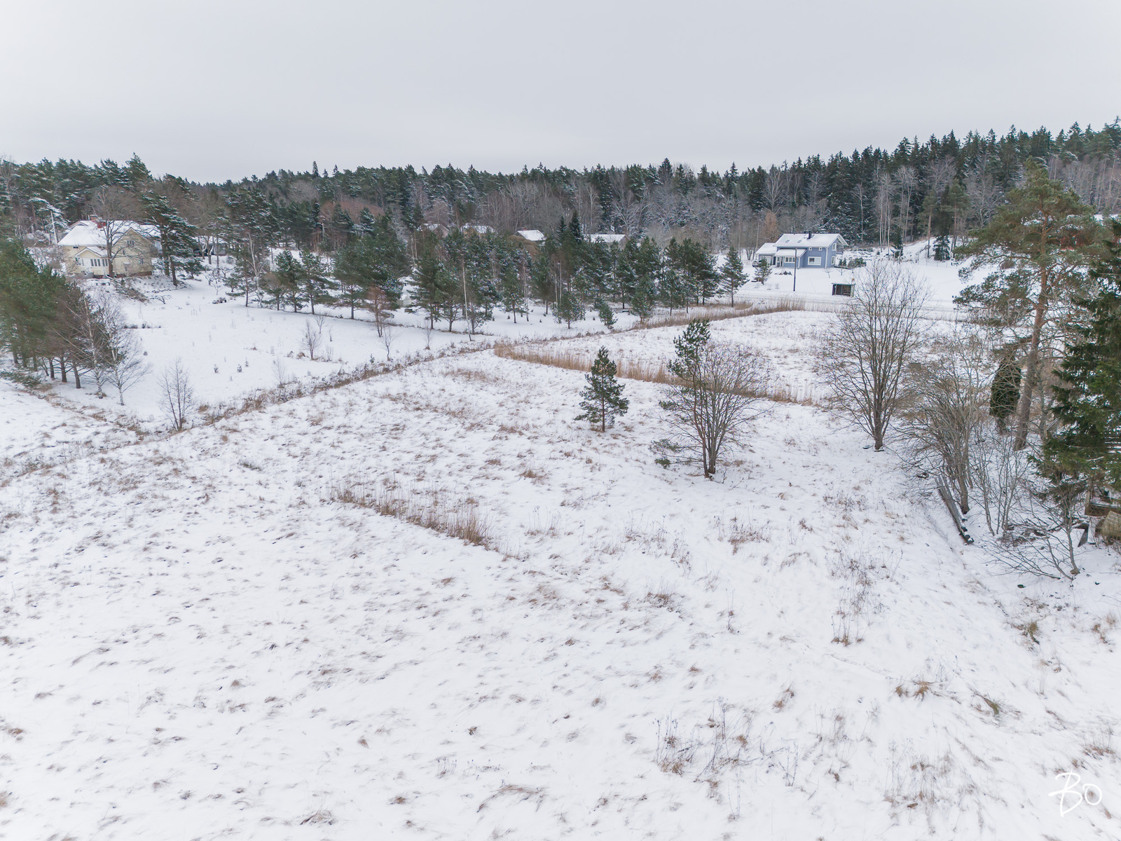 Pikikurjentie  - kuva 5