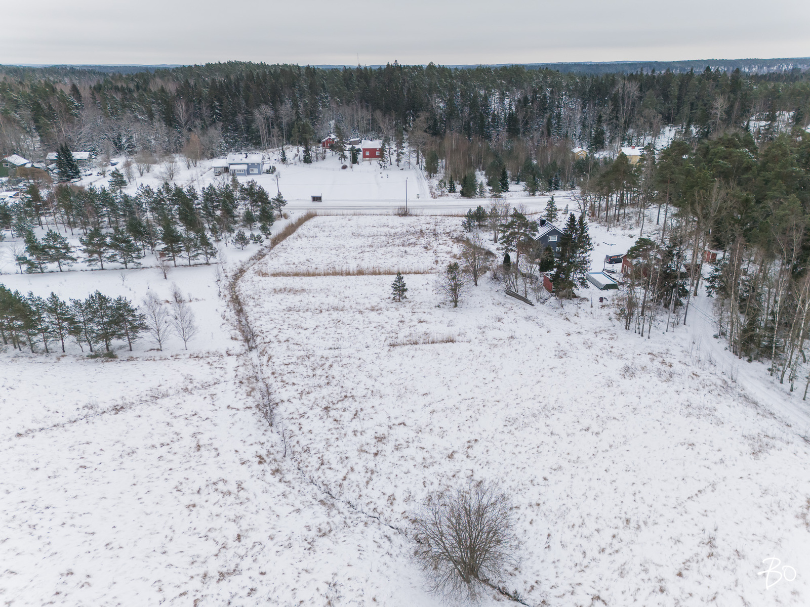 Pikikurjentie  - kuva 7