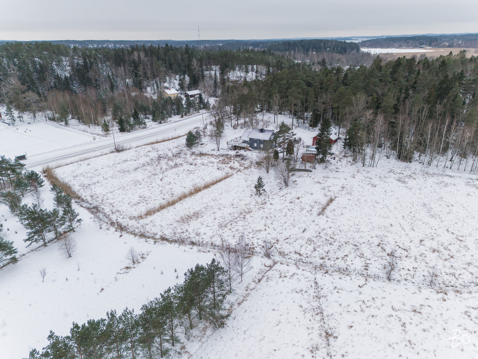 Pikikurjentie  - kuva 6