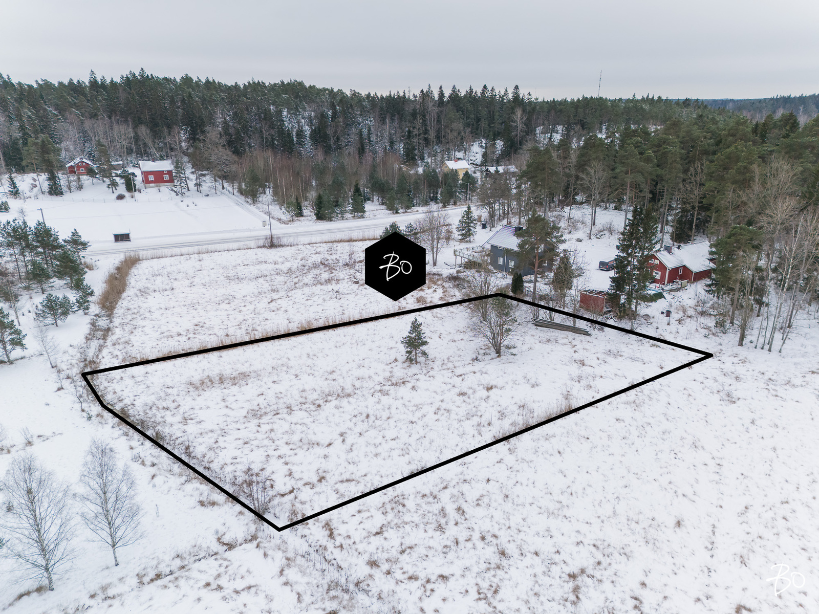 Pikikurjentie  - kuva 1