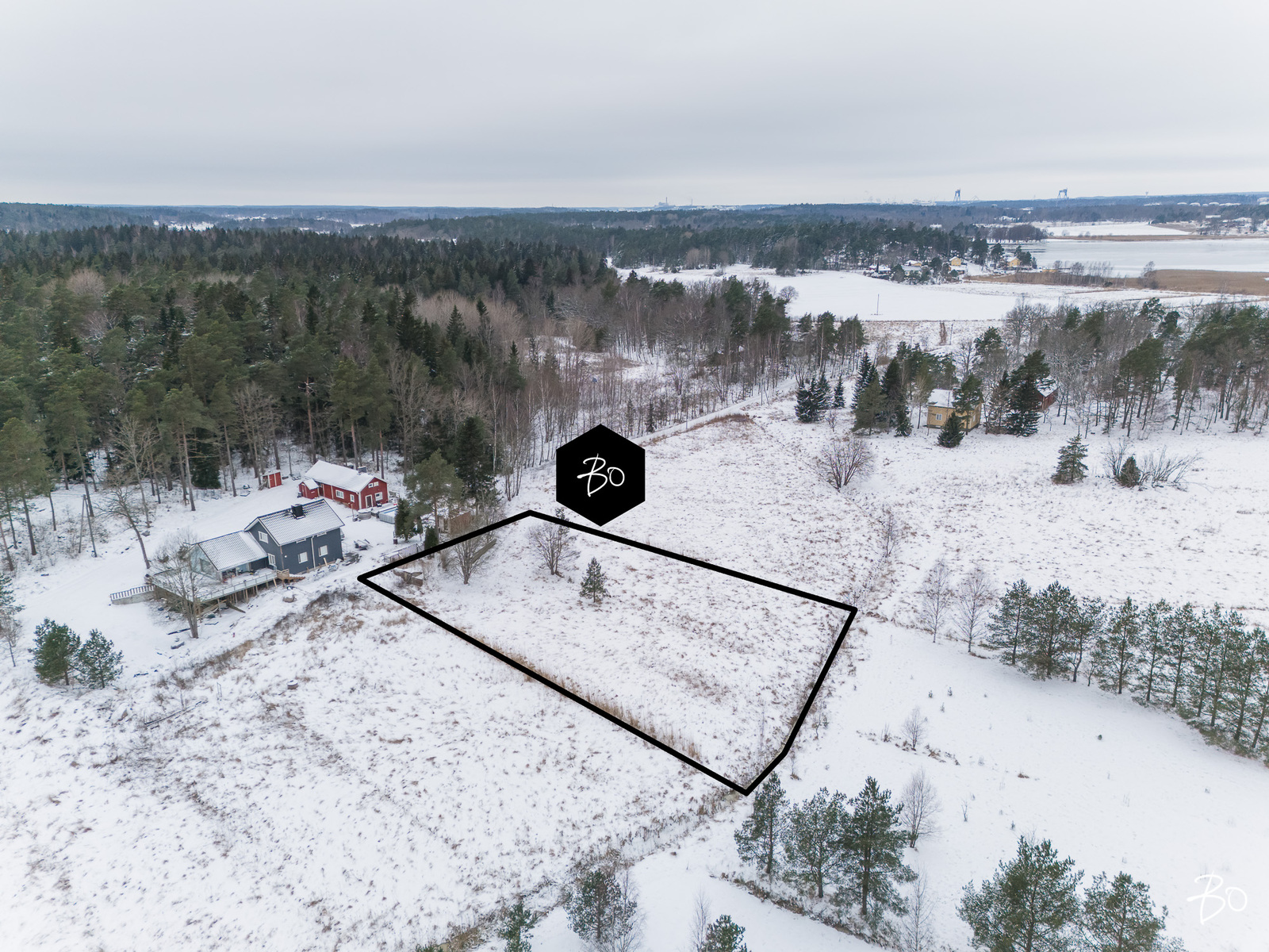 Pikikurjentie  - kuva 3