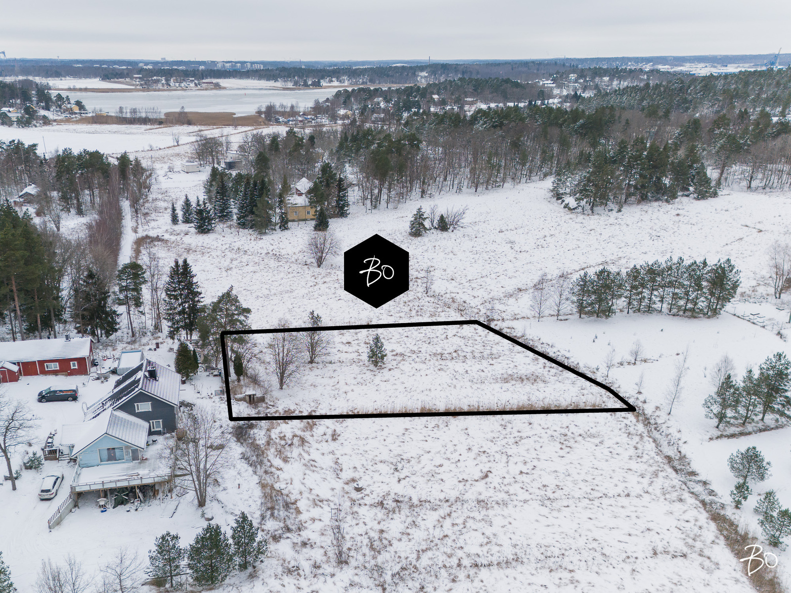 Pikikurjentie  - kuva 4