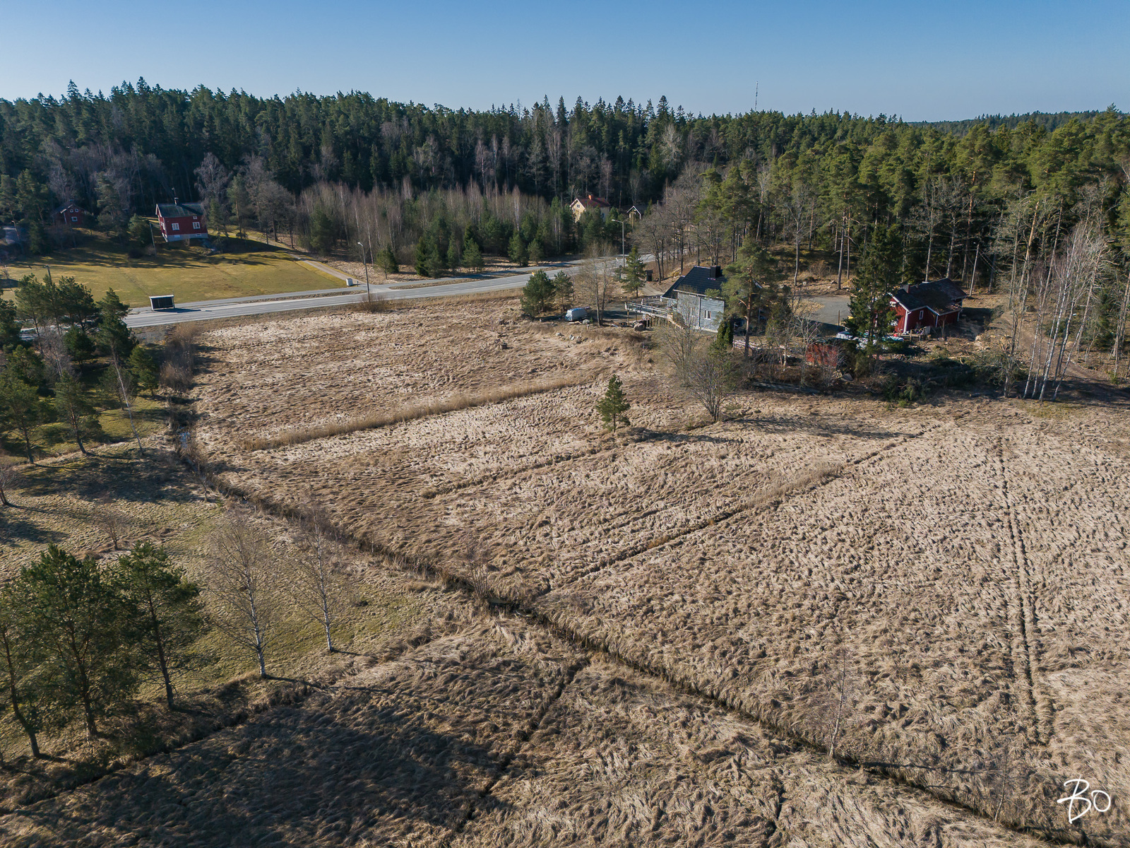 Pikikurjentie  - bild 3