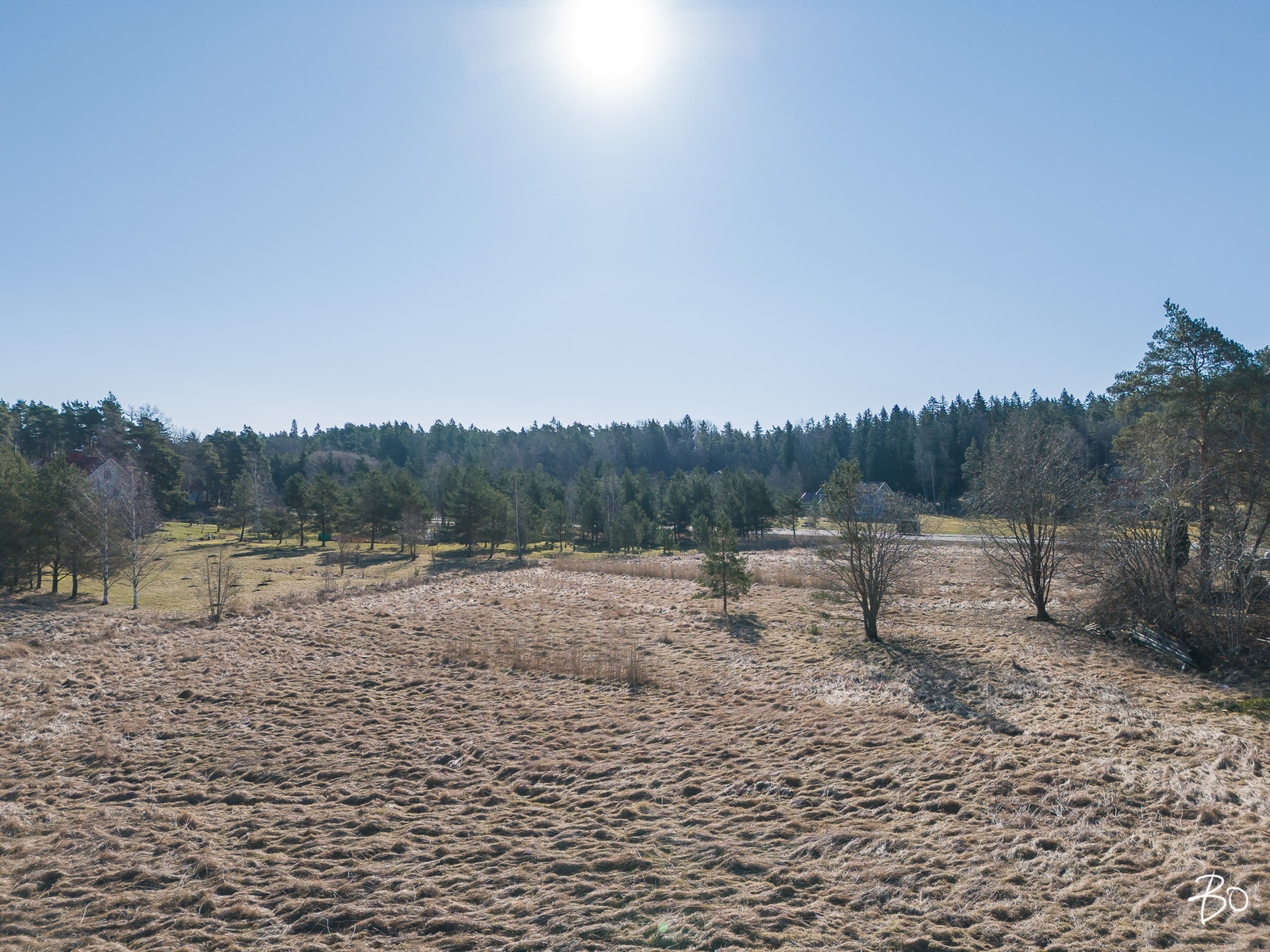 Pikikurjentie  - bild 7