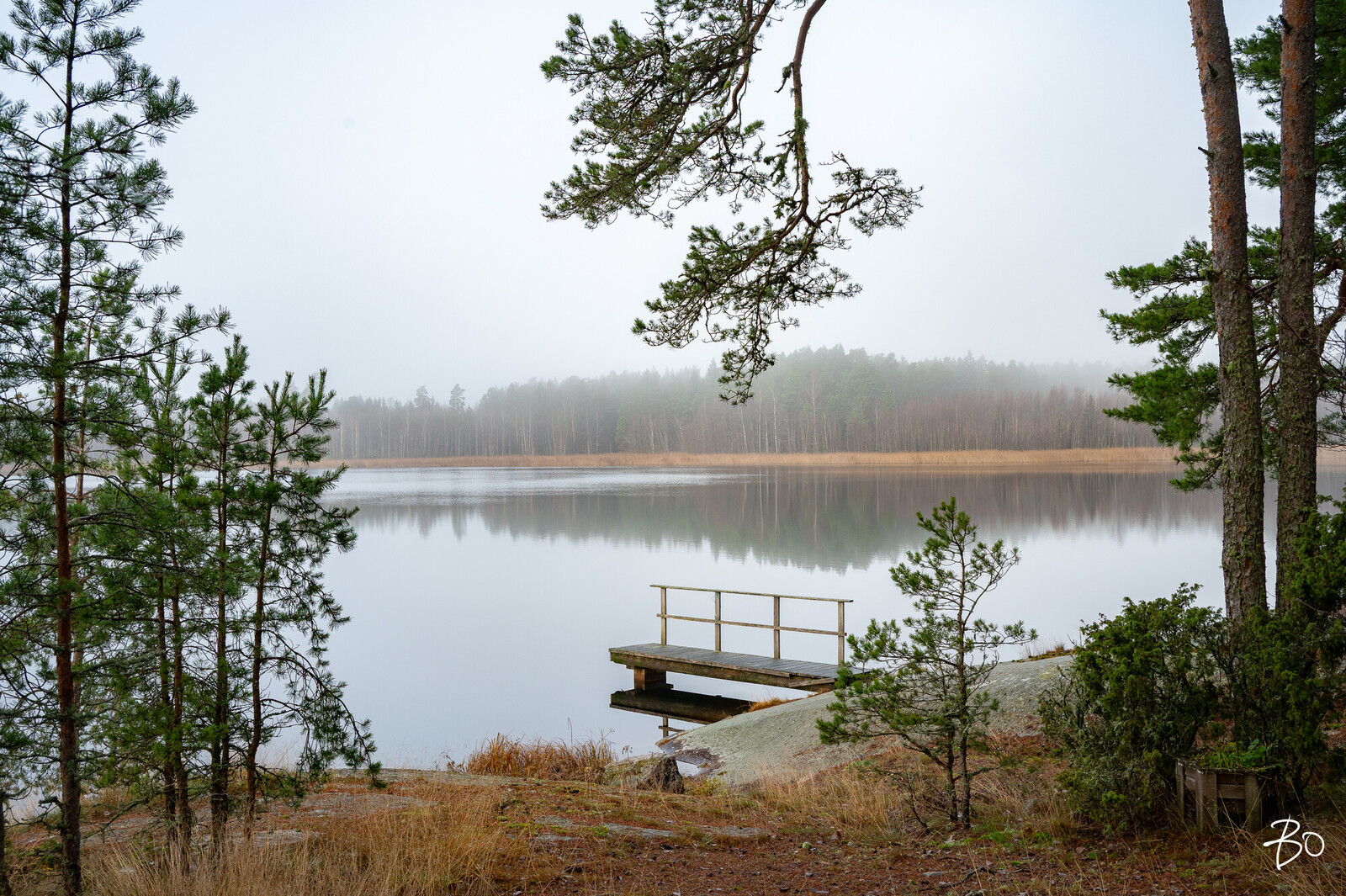 Mustajärventie  - kuva 8