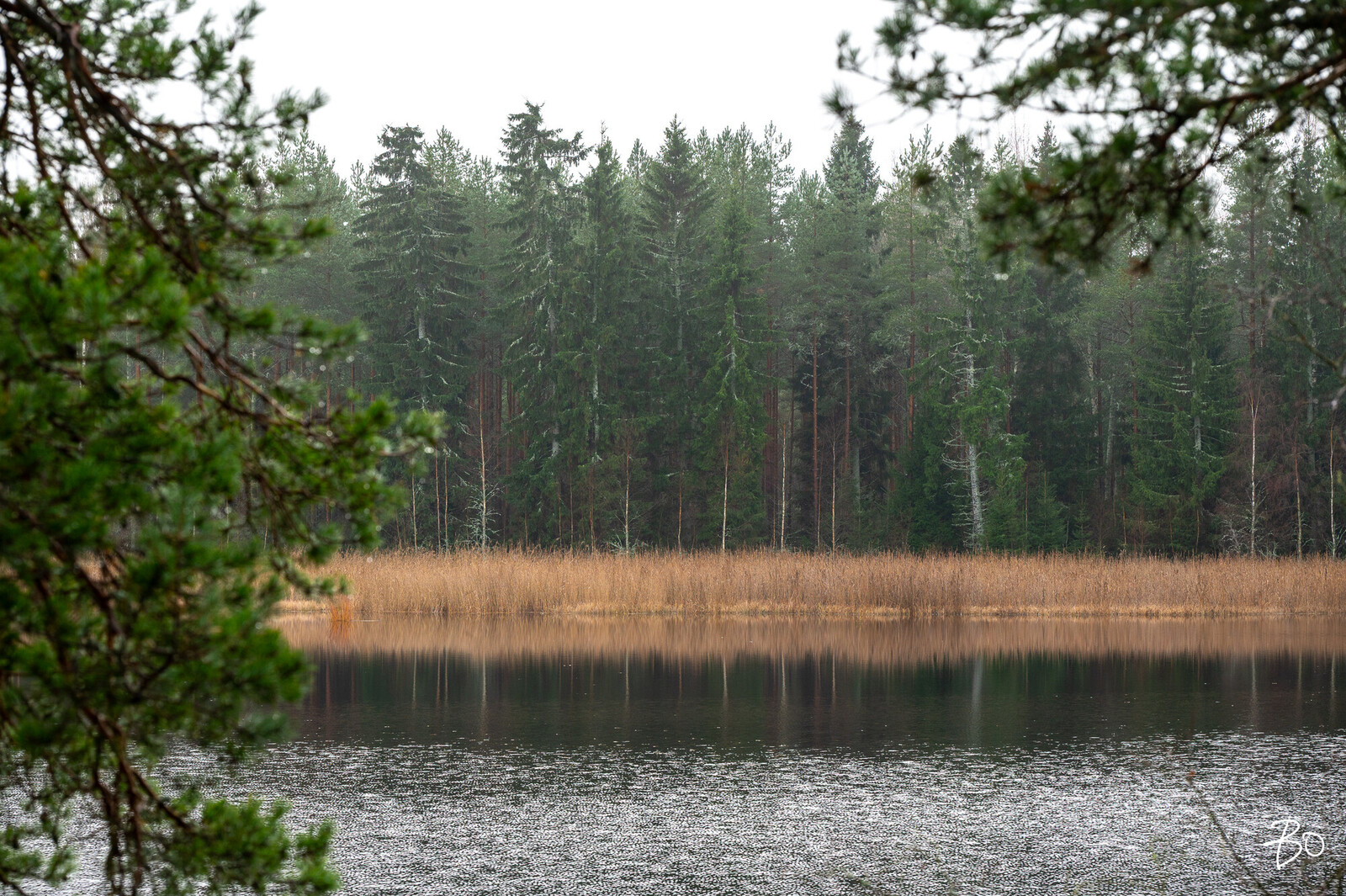 Mustajärventie  - kuva 25