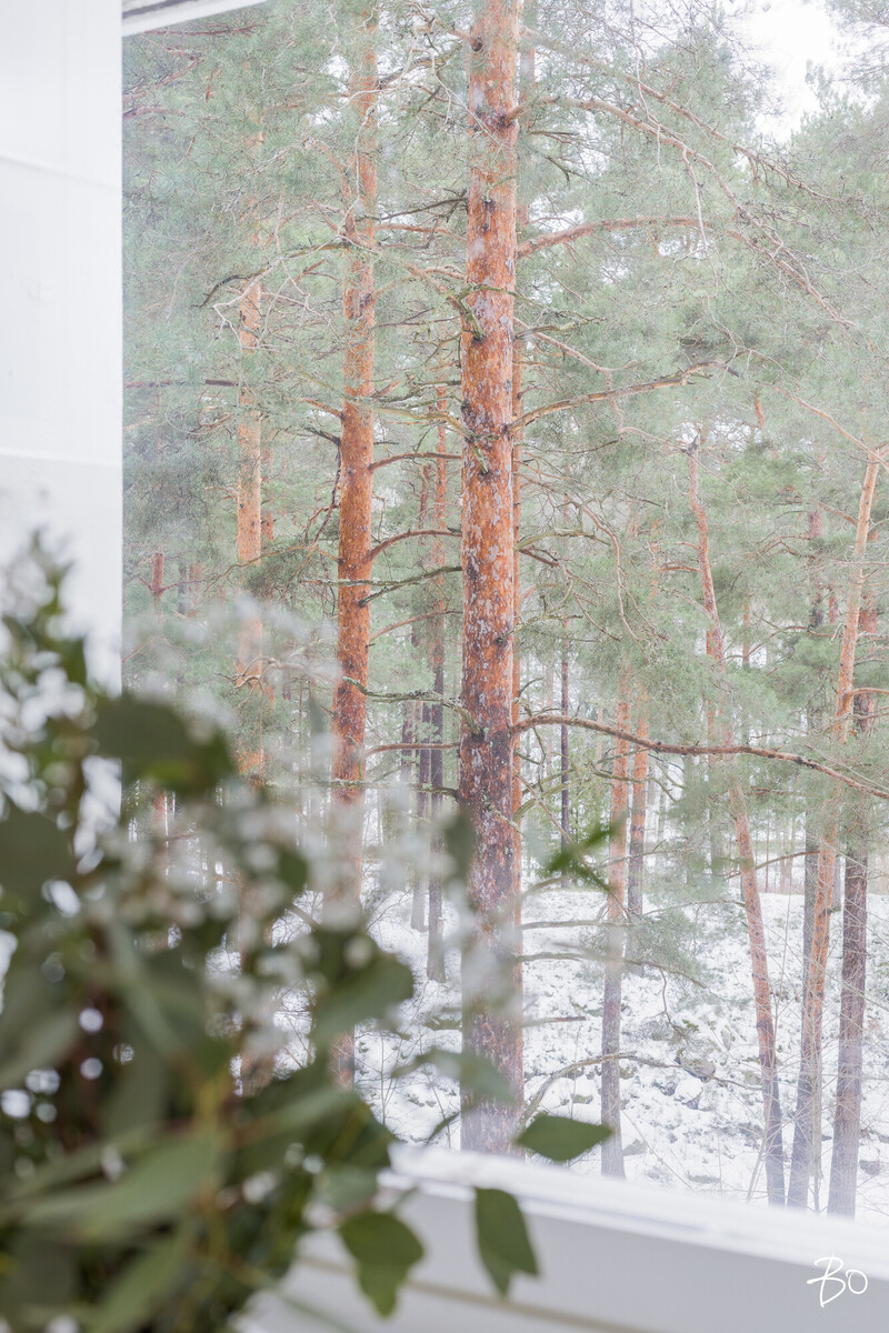 Luolavuorentie 50 - bild 17