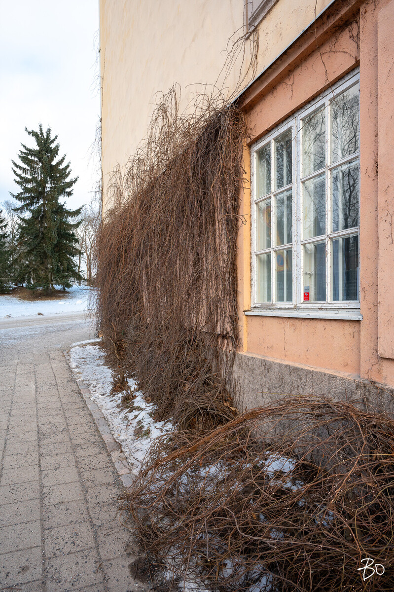 Luostarinkatu 15 - kuva 34