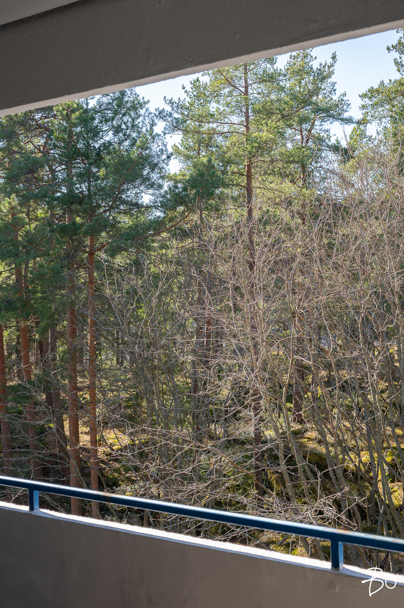 Pietarinkatu 1D - kuva 36