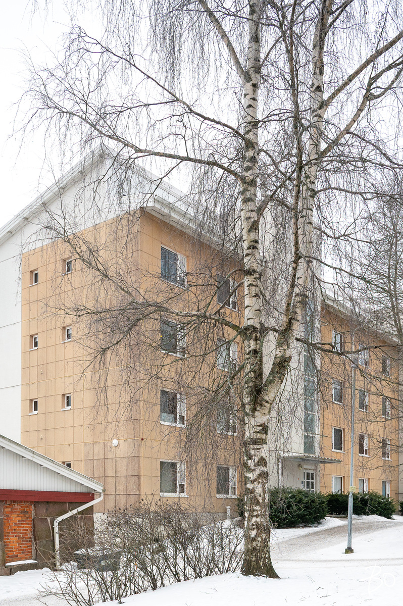 Mullintie 9 - bild 3