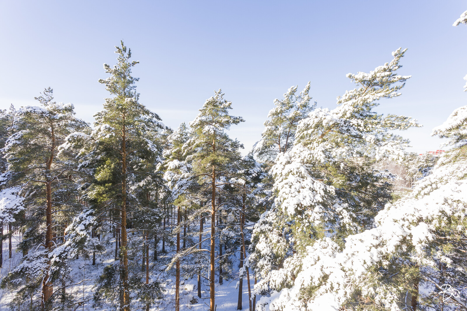 Luolavuorentie 50 - bild 16